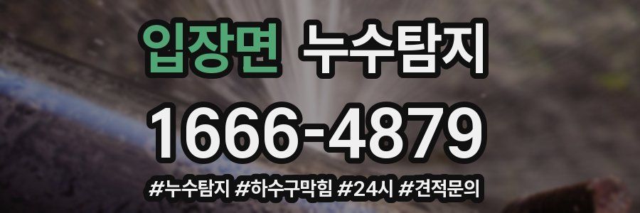 누수닥터 누수탐지