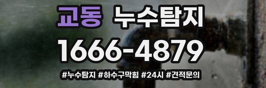 누수닥터 누수탐지
