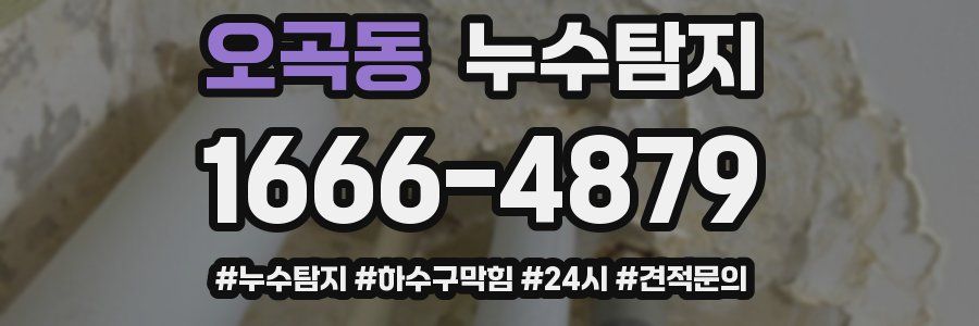 누수닥터 누수탐지