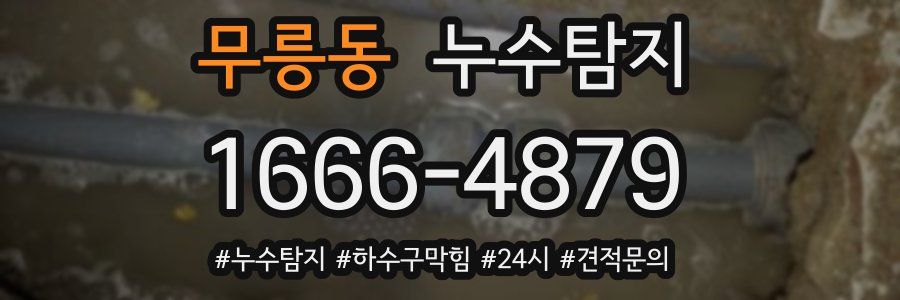 누수닥터 누수탐지
