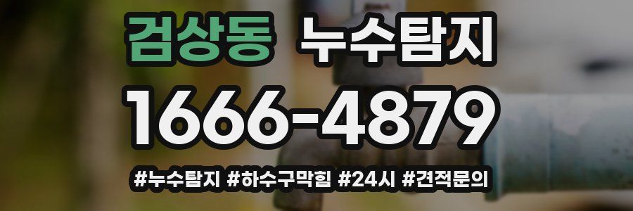 누수닥터 누수탐지