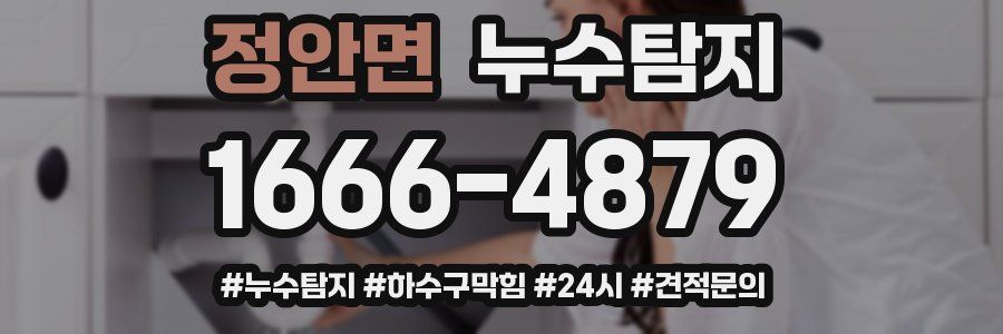 누수닥터 누수탐지