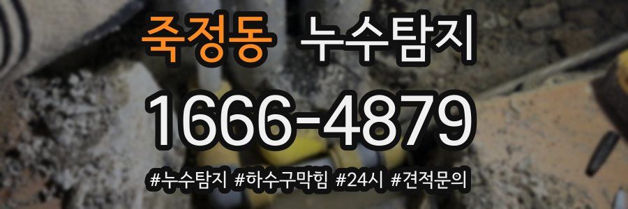 누수닥터 누수탐지