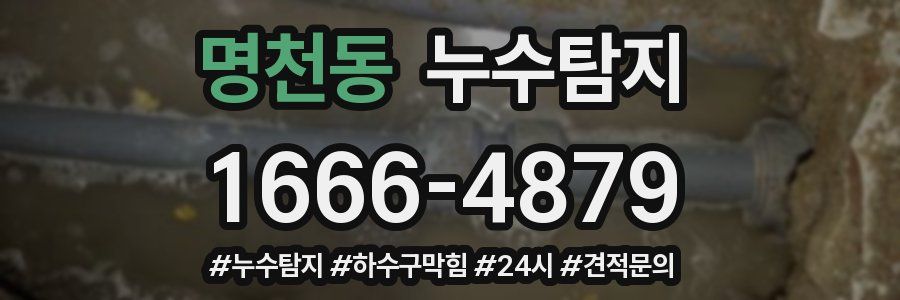 누수닥터 누수탐지
