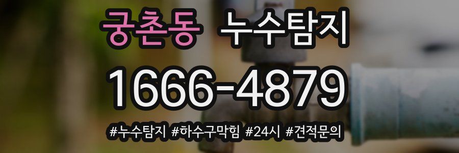 누수닥터 누수탐지