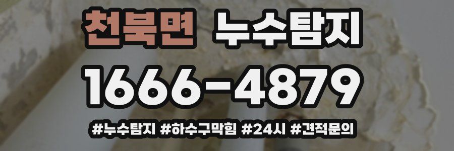 누수닥터 누수탐지