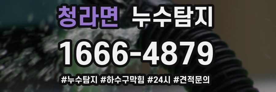 누수닥터 누수탐지