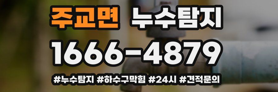 누수닥터 누수탐지
