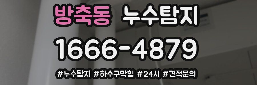 누수닥터 누수탐지