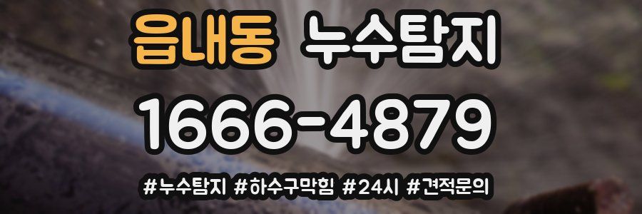 누수닥터 누수탐지