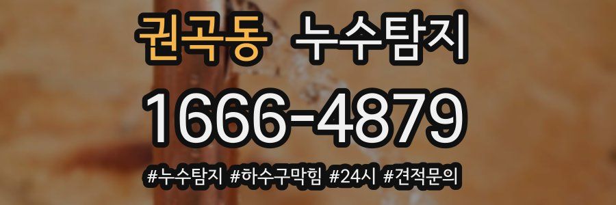 누수닥터 누수탐지