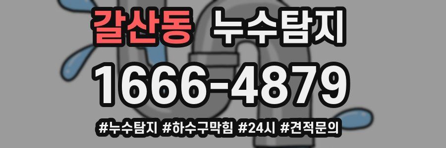 누수닥터 누수탐지