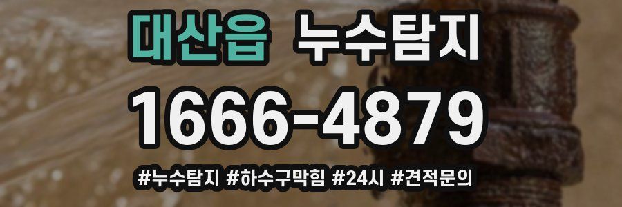 누수닥터 누수탐지