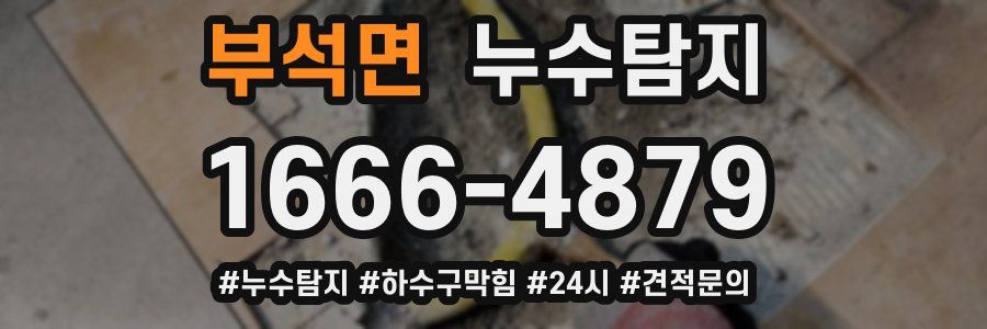 누수닥터 누수탐지