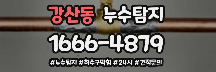 누수닥터 누수탐지