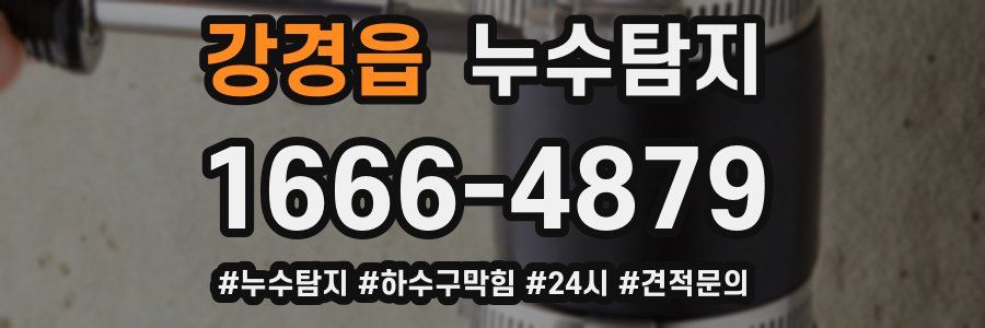 누수닥터 누수탐지