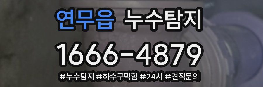 누수닥터 누수탐지