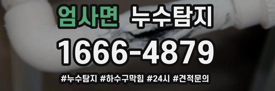 누수닥터 누수탐지