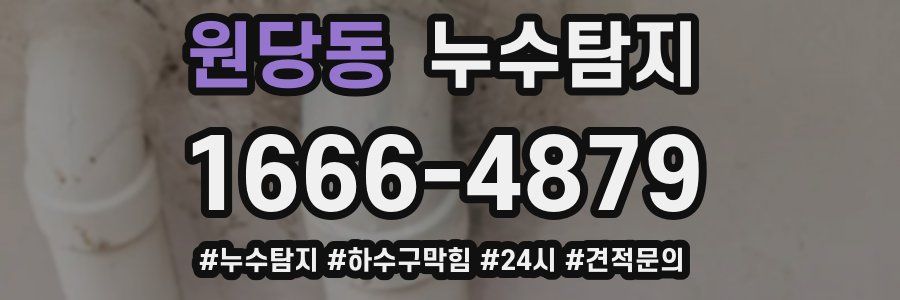 누수닥터 누수탐지