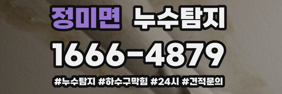 누수닥터 누수탐지