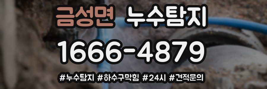 누수닥터 누수탐지