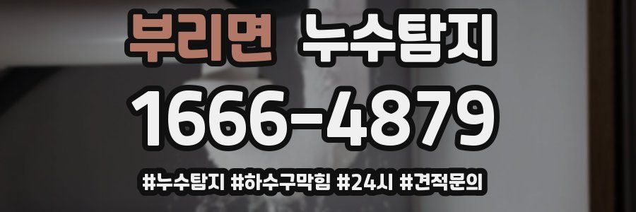 누수닥터 누수탐지