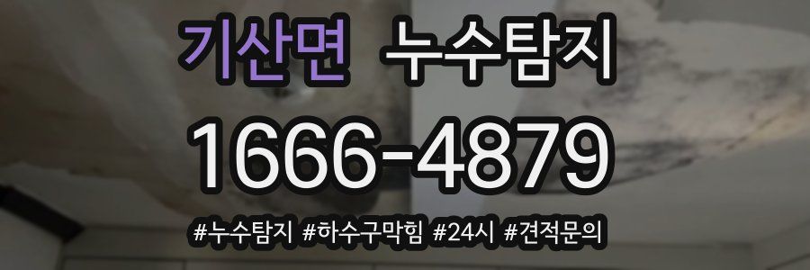 누수닥터 누수탐지