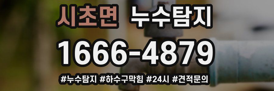 누수닥터 누수탐지