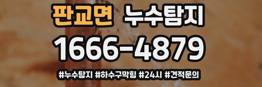 누수닥터 누수탐지