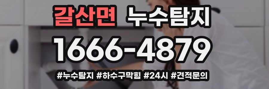 누수닥터 누수탐지