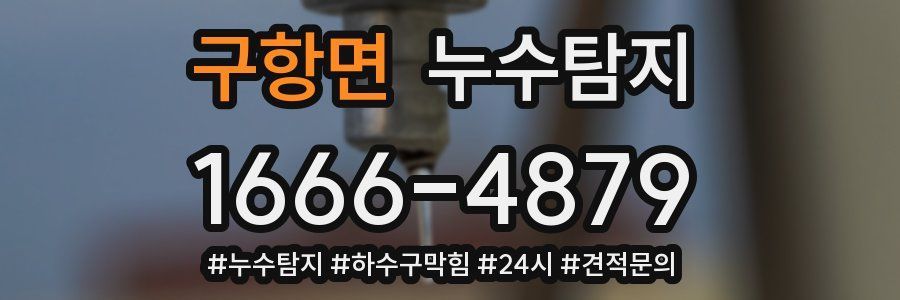 누수닥터 누수탐지