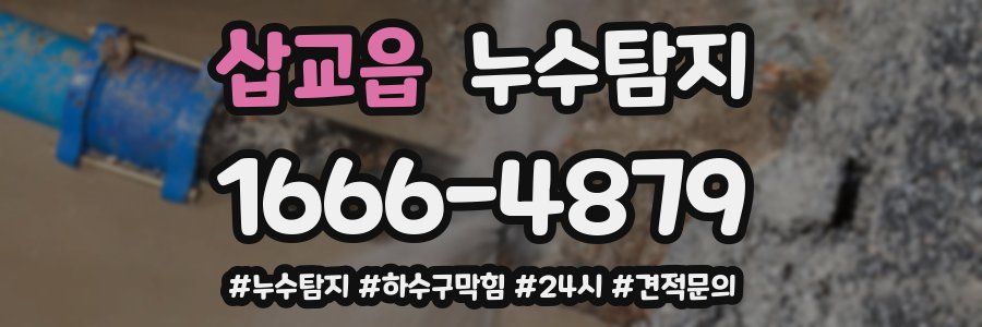 누수닥터 누수탐지