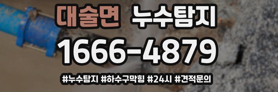누수닥터 누수탐지