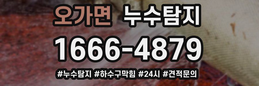 누수닥터 누수탐지