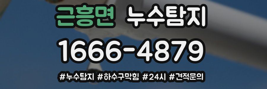 누수닥터 누수탐지