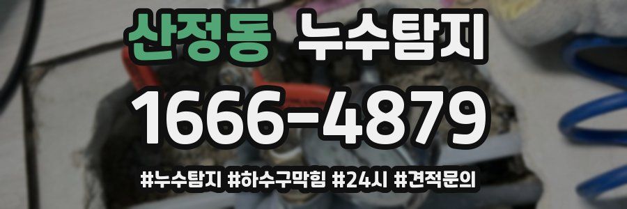 누수닥터 누수탐지