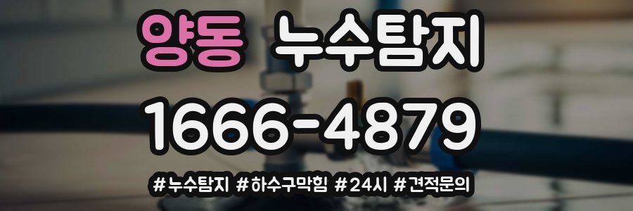 누수닥터 누수탐지