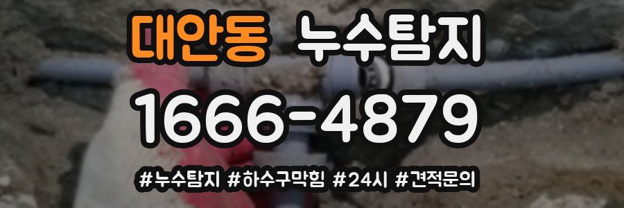 누수닥터 누수탐지