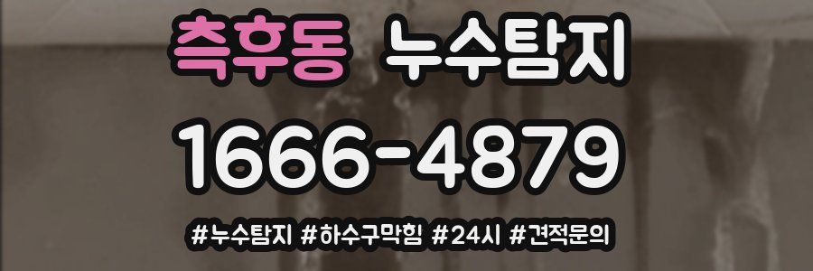 누수닥터 누수탐지