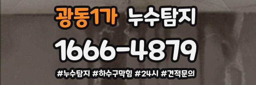 누수닥터 누수탐지