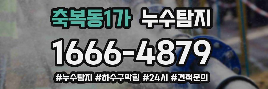 누수닥터 누수탐지