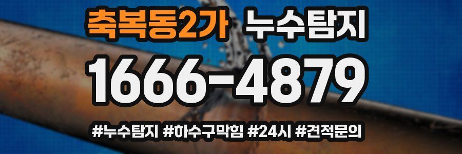 누수닥터 누수탐지