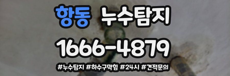 누수닥터 누수탐지