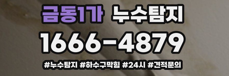 누수닥터 누수탐지