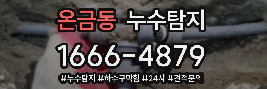 누수닥터 누수탐지