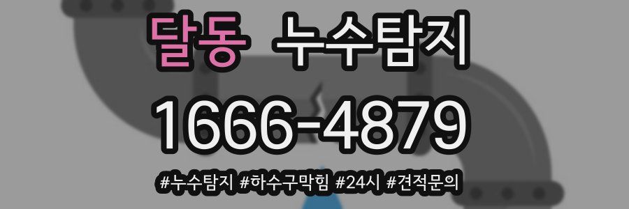 누수닥터 누수탐지