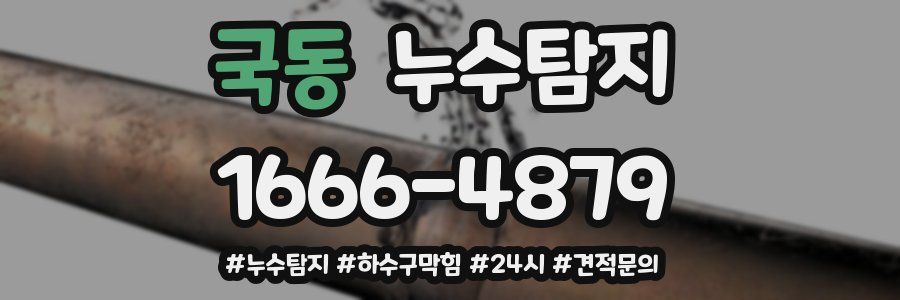 누수닥터 누수탐지