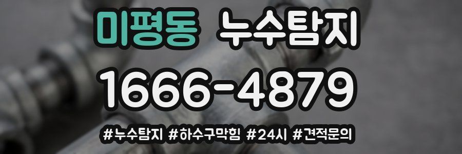 누수닥터 누수탐지