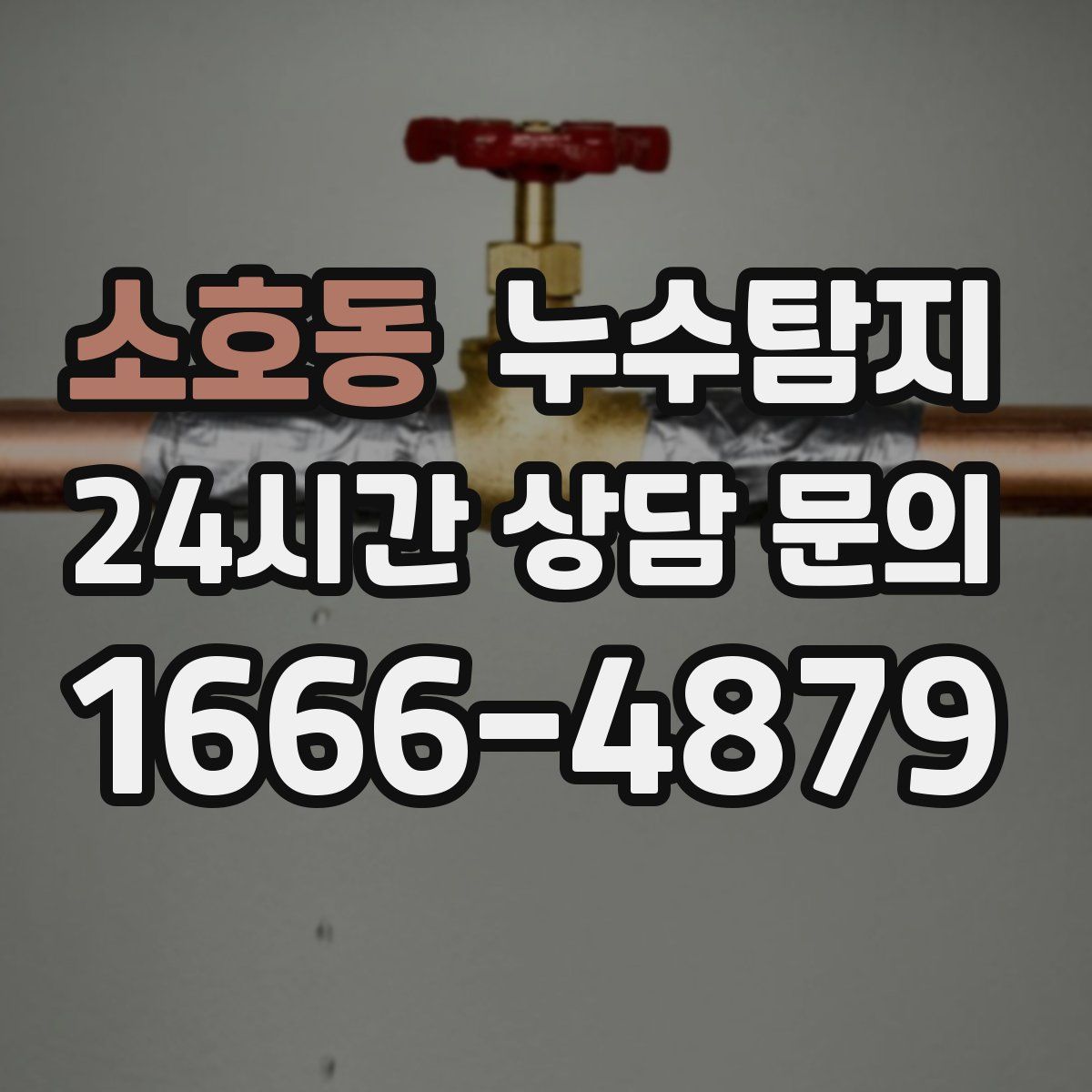 누수탐지
