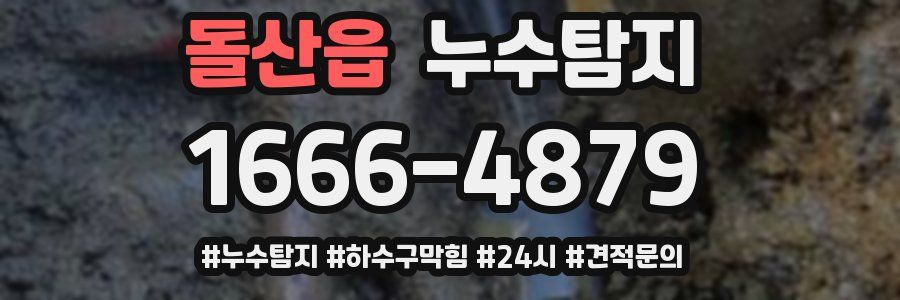 누수닥터 누수탐지
